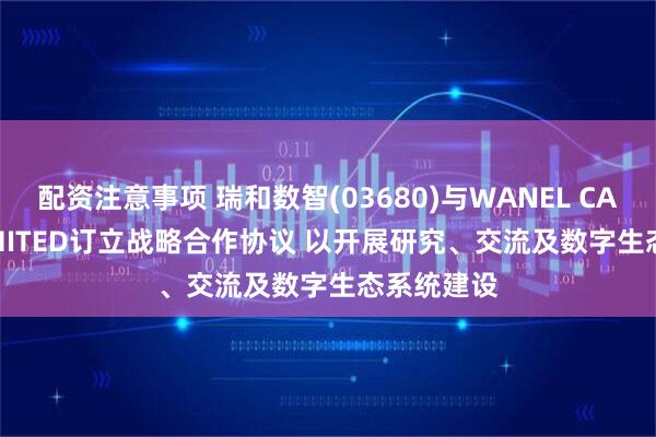 配资注意事项 瑞和数智(03680)与WANEL CAPITAL LIMITED订立战略合作协议 以开展研究、交流及数字生态系统建设